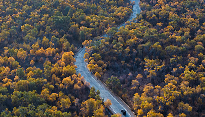 网红公路